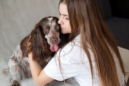 Attractive blonde woman embrace kiss russian spaniel dog brown different colours eyes. sit on