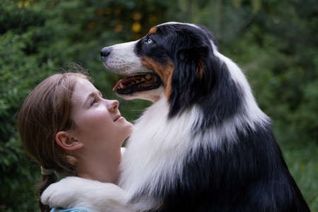teenage girl look at australian shepherd dog in summer. Stand in forest