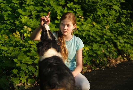 teenage girl embrace australian shepherd puppy dog in summer. in forestの写真素材
