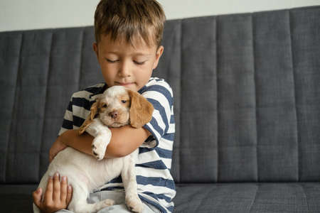 Cute little boy hold russian spaniel red and white puppy dogの写真素材