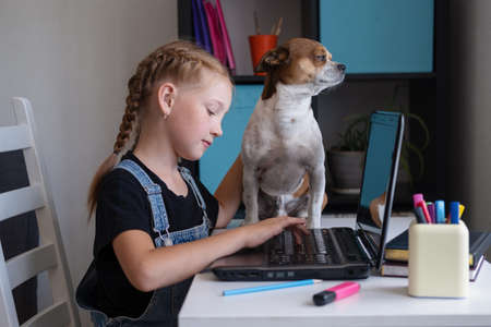 girl using laptop studying at home. Dog sit on table.の写真素材