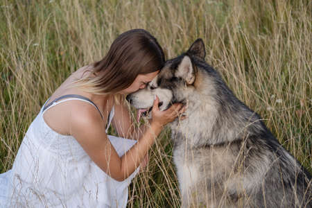 Happy woman hugging and kiss alaskan malamute dog in summer fieldの写真素材