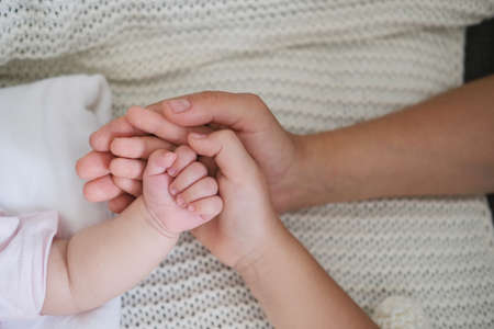 mothers hand hold little babys hand and daugthers hand. Happy familyの写真素材