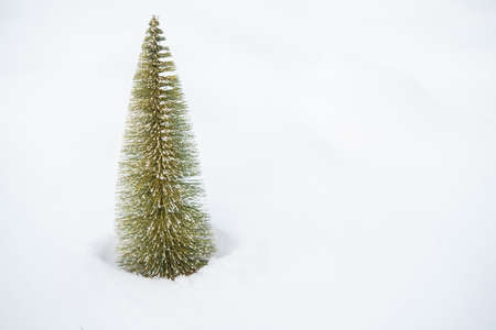 Little Christmas tree in snow outdoor. merry christmasの写真素材