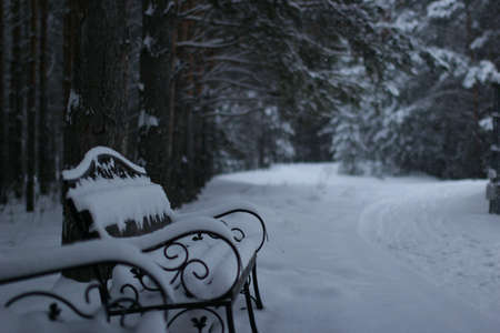 Winter gardenの素材