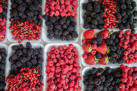Berry fruits background in a row with strawberries, raspberries and blackberries. Top viewの写真素材