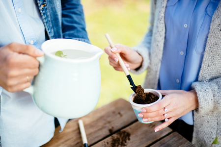 Beautiful young couple in casual clothes is holding a plantの写真素材