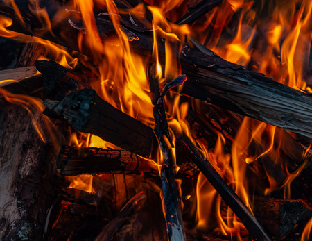flame of a fire from raw firewoodの写真素材