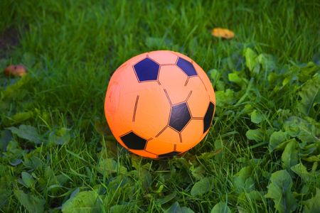 Solnichnyy ball on green herbの写真素材