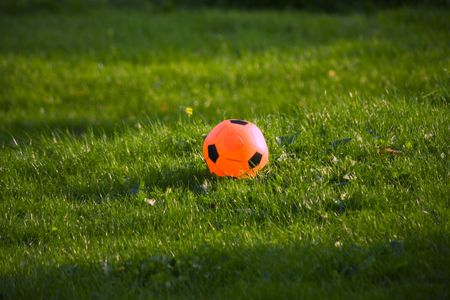 Solnichnyy ball on green herbの写真素材