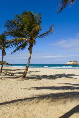 Beach on island Margarita, Venezuelaの写真素材