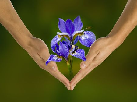 ecology, hands, responsibility, businessの写真素材