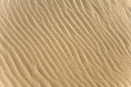 Beautiful sand background in Palanga, Lithuania
