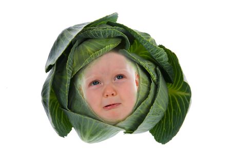 Baby among cabbage leaves isolated on whiteの写真素材