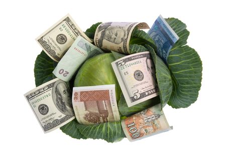 money situated on green cabbage isolated on whiteの写真素材