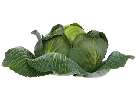 Cabbage isolated on white background