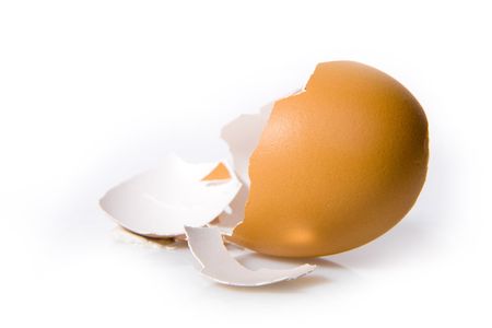 shell egg on white background