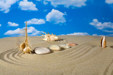 Landscape with seashell and stones on sky background