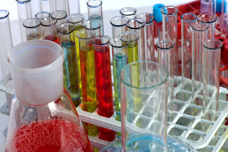  Glass test tubes filled with liquid on a rack for an experiment