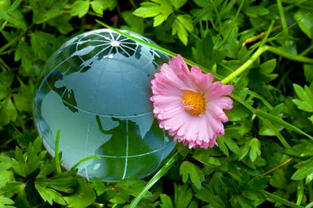 Globe on green grass with daisyの写真素材
