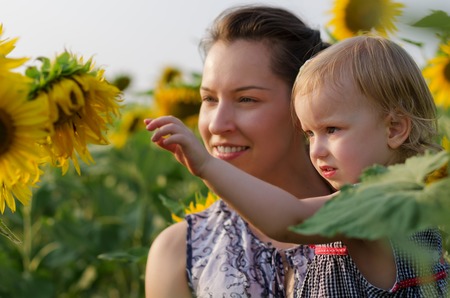 Happy mother with the daughter in the field with sunflowers, look at the leavesの写真素材