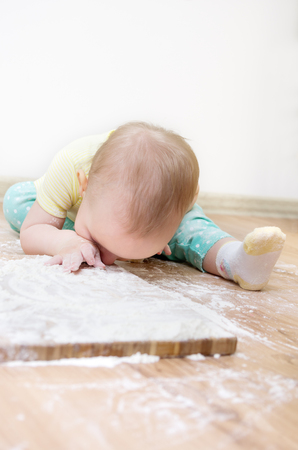 A little cute baby-girl with on her head is sitting on the kitchen floor, Sniffs the flour, she is heavily soiled with wheat flourの写真素材