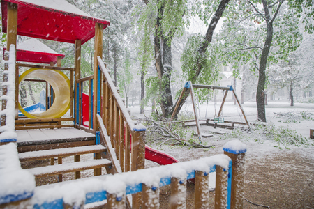 The branches of the tree with the green spring leaves broke under the weight of wet snow and wind, in the sleeping area. The Snow Cyclone.の写真素材
