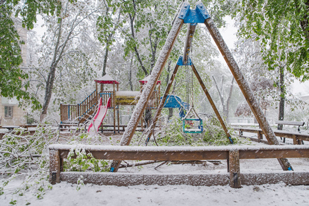 The branches of the tree with the green spring leaves broke under the weight of wet snow and wind, in the sleeping area. The Snow Cyclone.の写真素材