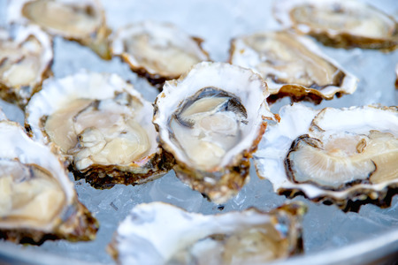 Opened oysters on ice seafoodの写真素材