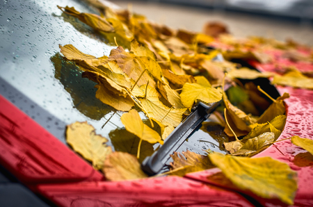 season and transport concept - close up of car wiper with autumn maple yellow leaves on windshield on a red car.の写真素材