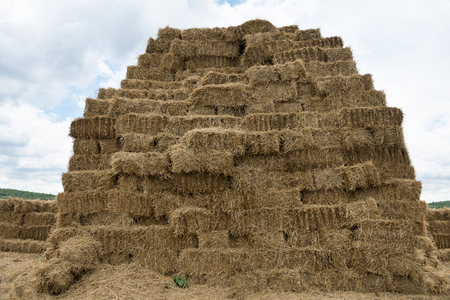 Hay Stack Wall - Straw bales Farm Hay Storage Facility. Pile of Bales of Hay. Livestock Foodの写真素材