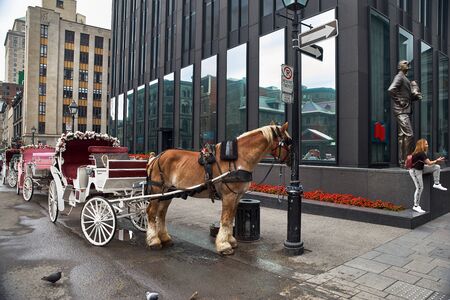 MONTREAL, CANADA - SEPTEMBER 3, 2018: Old town area with tour guide on road in horse carriage buggy during day by Place D'arms street in Quebec region city.のeditorial素材