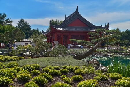 MONTREAL, CANADA, September 5, 2018: Beautiful small pine tree growing in yellow flowerbed with pond and pretty pavilion in Montreal s Botanical Gardens, Montreal, Quebecのeditorial素材