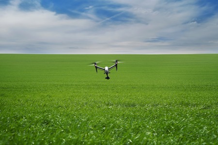Quadcopter with camera flying over field. Photography quadcopter drone hovering over young green sprouts of wheat plants in a field. Smart agriculture conceptの写真素材