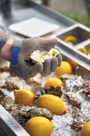 Chef shucking a fresh oyster with knife and stainless steel mesh oyster glove. Close upの写真素材