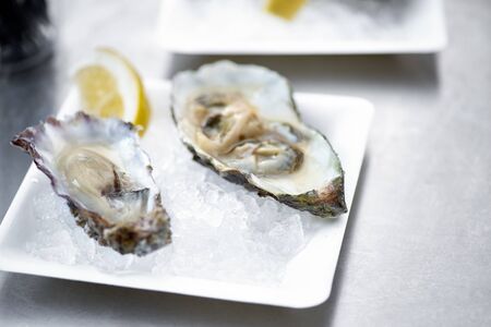 Raw fresh oyster shellfish with lemon in white plate, street trading on a street - seafood style. Close up, appetizer to wine, healthy food, Selective focus.の写真素材