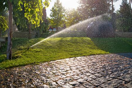 Sprinklers automatic watering grass on a hot summer day. Savings of water from sprinkler irrigation system with adjustable head. Automatic equipment for irrigation and maintenance of lawns, gardening.の写真素材