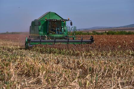 Floresti, Moldova. September 11, 2019: Green Harvesting working on a sorghum filed. Harvest season in raion of Floresti, Moldova.のeditorial素材