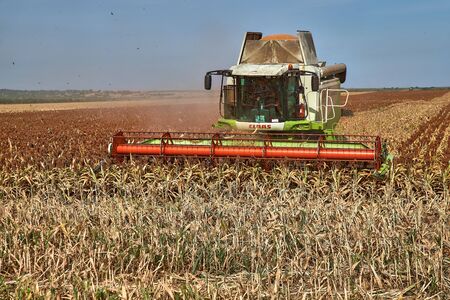 Floresti, Moldova. September 11, 2019: Green Harvesting working on a sorghum filed. Harvest season in raion of Floresti, Moldova.のeditorial素材