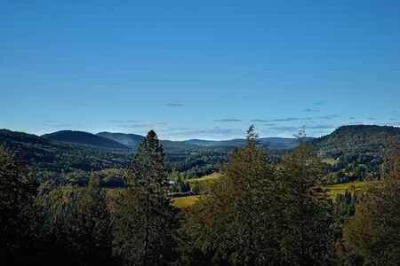mountain summer landscape. trees near meadow and forest on hillside under sky