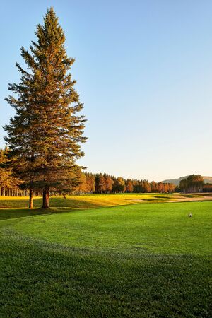 Sunset at the Golf Course - The sun sets on a putting green at the golf course in Autumn in Canada, Montremblan.の写真素材