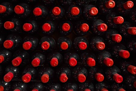 Close-up of several bottles of wine in row in cellars of winery or restaurant. Useful as a...
