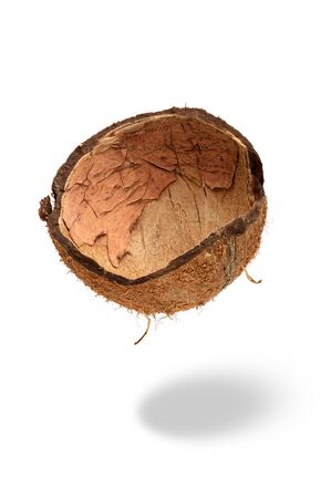 Coconut shell isolated on white background. close up clipping objectの写真素材