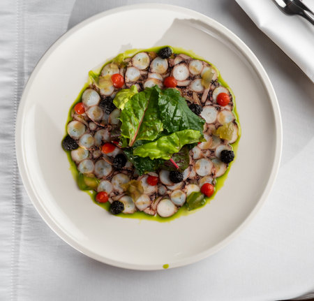Seafood appetizer. Octopus Carpaccio on white plate. Mediterranean delicacy. Selective focusの写真素材