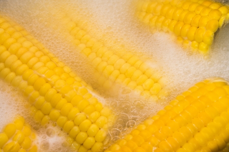 Corn cobs boiling in hot waterの写真素材