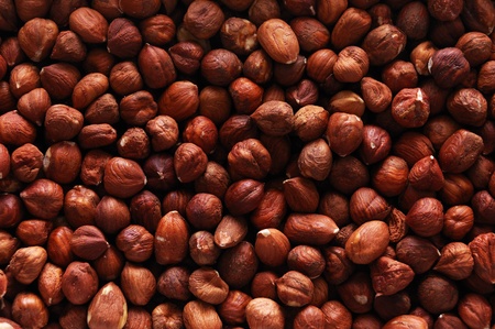 Abstract background of fresh cracked hazelnutsの写真素材