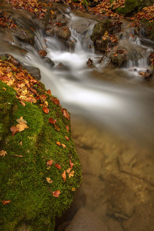 Detail of autumn brook with rocks and leaves. Long exposure for smooth water flowの写真素材