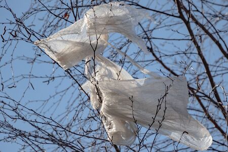 Plastic bag on tree branches on blue sky background. The problem of environmental pollution with...