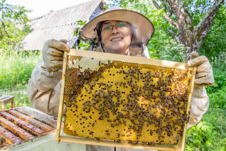 Woman beekeeper holding frame with bees in her hands. On honeycombs, sealed brood and honey. A woman...
