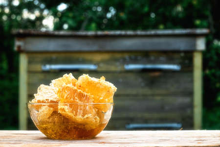 14 August - the day of the beekeeper. Savior of the Honey Feast Day. Honey in a honeycomb on the background of a beehive. National Bee Dayの写真素材